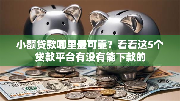 小额贷款哪里最可靠？看看这5个贷款平台有没有能下款的