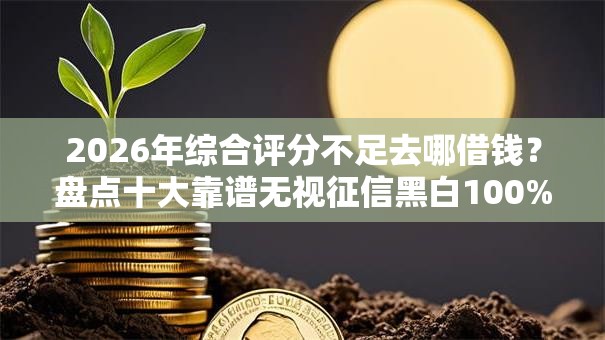2026年综合评分不足去哪借钱？盘点十大靠谱无视征信黑白100%秒下网贷软件