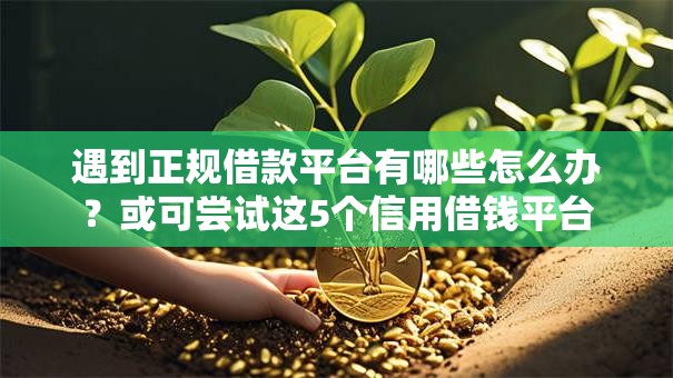 遇到正规借款平台有哪些怎么办？或可尝试这5个信用借钱平台