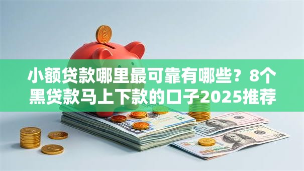 小额贷款哪里最可靠有哪些？8个黑贷款马上下款的口子2025推荐给你