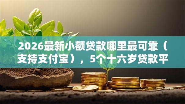 2026最新小额贷款哪里最可靠(支持支付宝),5个十六岁贷款平台无私分享 2026最新小额贷款哪里最可靠(支持支付宝),5个十六岁贷款平台无私分享