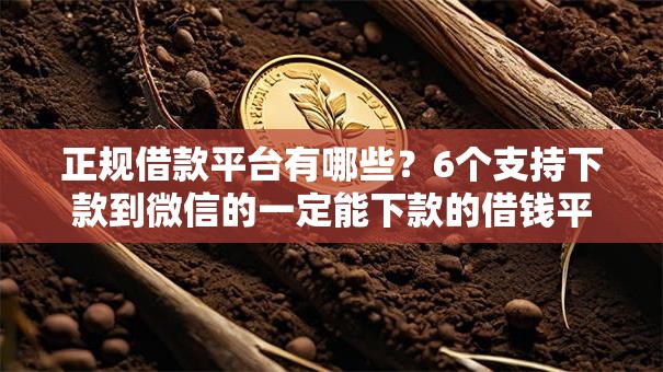正规借款平台有哪些？6个支持下款到微信的一定能下款的借钱平台