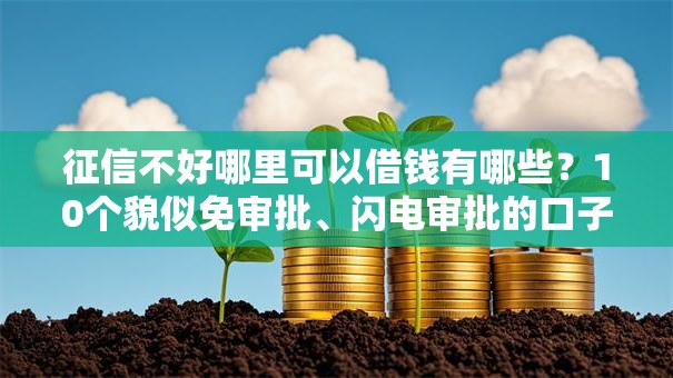 征信不好哪里可以借钱有哪些?10个貌似免审批、闪电审批的口子合集 征信不好哪里可以借钱有哪些?10个貌似免审批、闪电审批的口子合集