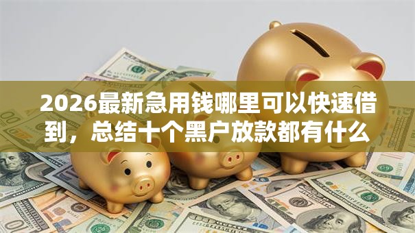 2026最新急用钱哪里可以快速借到，总结十个黑户放款都有什么口子！