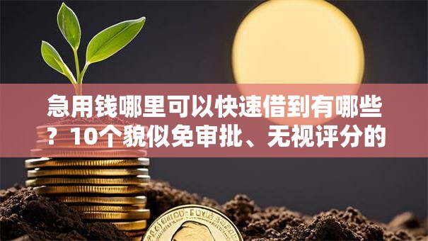 急用钱哪里可以快速借到有哪些?10个貌似免审批、无视评分的贷款口子合集 急用钱哪里可以快速借到有哪些?10个貌似免审批、无视评分的贷款口子合集