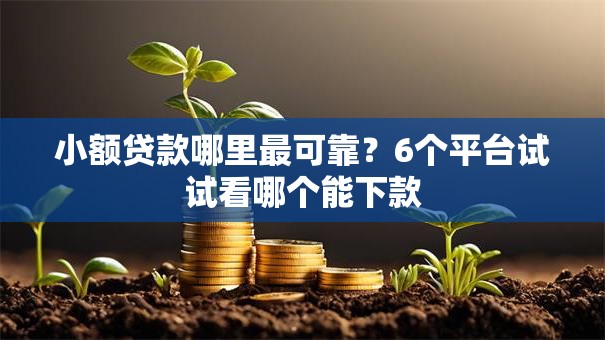 小额贷款哪里最可靠?6个平台试试看哪个能下款 小额贷款哪里最可靠?6个平台试试看哪个能下款