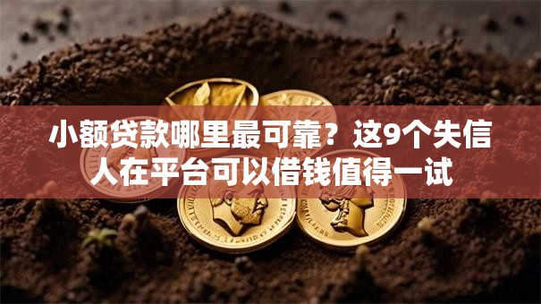小额贷款哪里最可靠?这9个失信人在平台可以借钱值得一试 小额贷款哪里最可靠?这9个失信人在平台可以借钱值得一试