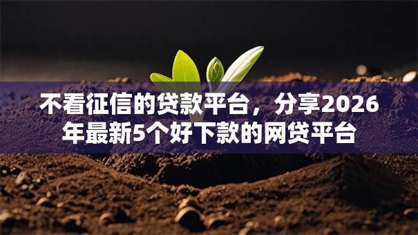 不看征信的贷款平台,分享2026年最新5个好下款的网贷平台 不看征信的贷款平台,分享2026年最新5个好下款的网贷平台
