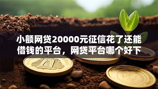 小额网贷20000元征信花了还能借钱的平台,网贷平台哪个好下款的8个平台介绍 小额网贷20000元征信花了还能借钱的平台,网贷平台哪个好下款的8个平台介绍