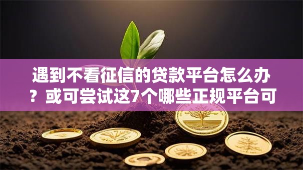 遇到不看征信的贷款平台怎么办?或可尝试这7个哪些正规平台可以借钱 遇到不看征信的贷款平台怎么办?或可尝试这7个哪些正规平台可以借钱