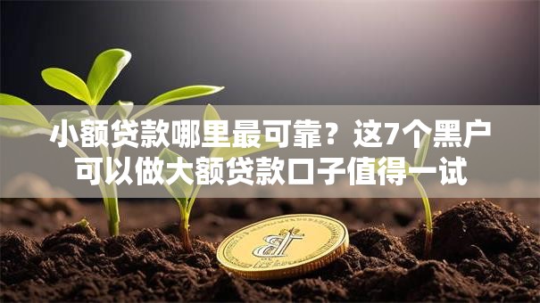 小额贷款哪里最可靠?这7个黑户可以做大额贷款口子值得一试 小额贷款哪里最可靠?这7个黑户可以做大额贷款口子值得一试