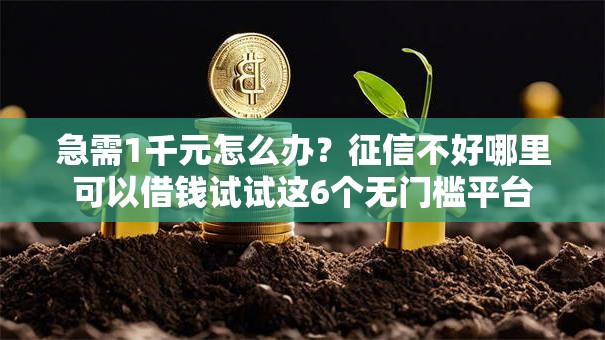 急需1千元怎么办？征信不好哪里可以借钱试试这6个无门槛平台