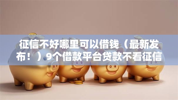 征信不好哪里可以借钱（最新发布！）9个借款平台贷款不看征信