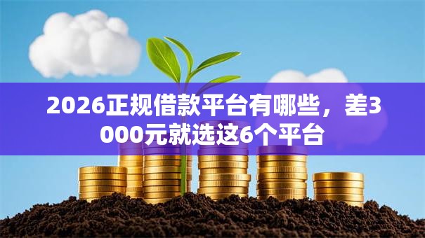 2026正规借款平台有哪些，差3000元就选这6个平台