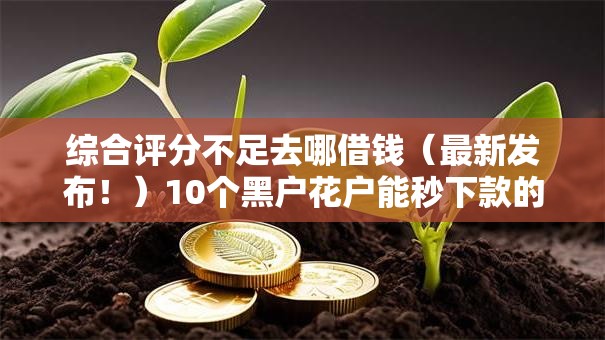 综合评分不足去哪借钱(最新发布!)10个黑户花户能秒下款的平台 综合评分不足去哪借钱(最新发布!)10个黑户花户能秒下款的平台