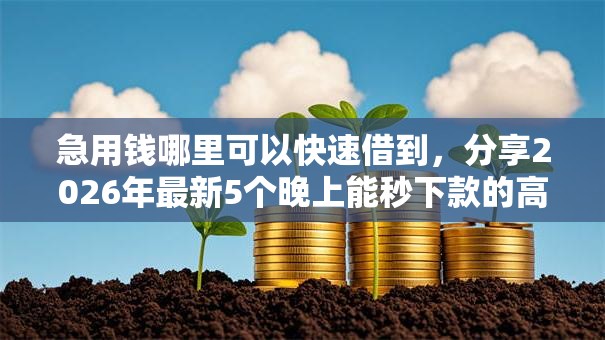 急用钱哪里可以快速借到,分享2026年最新5个晚上能秒下款的高炮口子 急用钱哪里可以快速借到,分享2026年最新5个晚上能秒下款的高炮口子