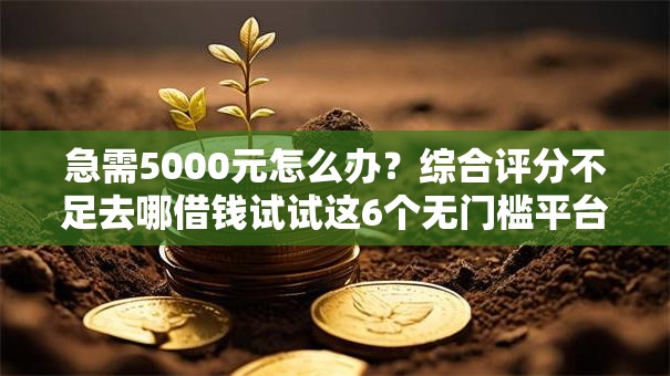 急需5000元怎么办？综合评分不足去哪借钱试试这6个无门槛平台