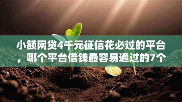小额网贷4千元征信花必过的平台,哪个平台借钱最容易通过的7个平台介绍 小额网贷4千元征信花必过的平台,哪个平台借钱最容易通过的7个平台介绍