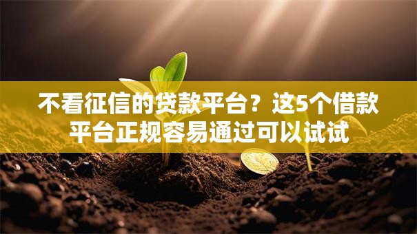 不看征信的贷款平台？这5个借款平台正规容易通过可以试试