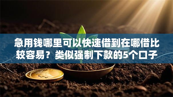 急用钱哪里可以快速借到在哪借比较容易?类似强制下款的5个口子参考 急用钱哪里可以快速借到在哪借比较容易?类似强制下款的5个口子参考