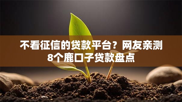 不看征信的贷款平台?网友亲测8个鹿口子贷款盘点 不看征信的贷款平台?网友亲测8个鹿口子贷款盘点