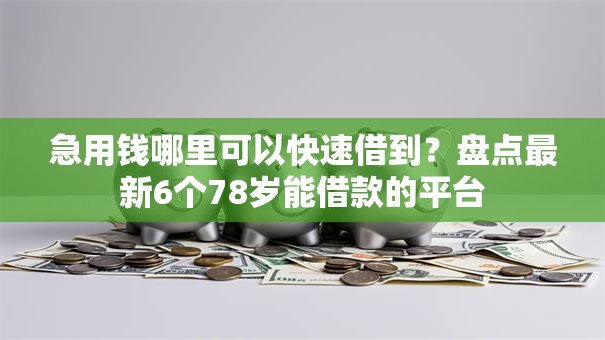 急用钱哪里可以快速借到?盘点最新6个78岁能借款的平台 急用钱哪里可以快速借到?盘点最新6个78岁能借款的平台