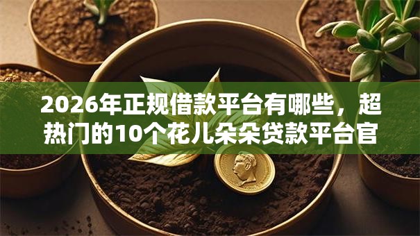 2026年正规借款平台有哪些，超热门的10个花儿朵朵贷款平台官网推荐