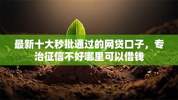最新十大秒批通过的网贷口子,专治征信不好哪里可以借钱 最新十大秒批通过的网贷口子,专治征信不好哪里可以借钱