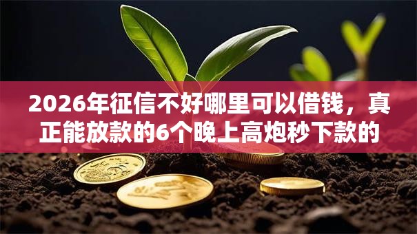 2026年征信不好哪里可以借钱，真正能放款的6个晚上高炮秒下款的口子推荐