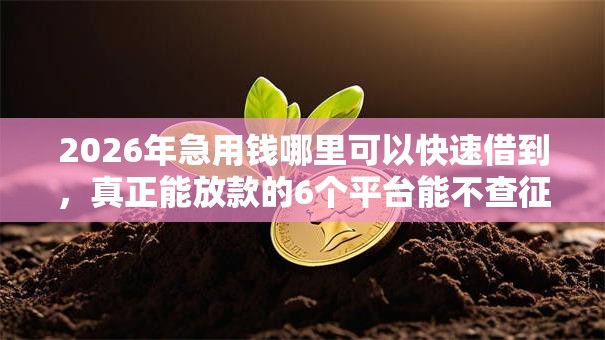 2026年急用钱哪里可以快速借到，真正能放款的6个平台能不查征信直接看出来借款额度推荐
