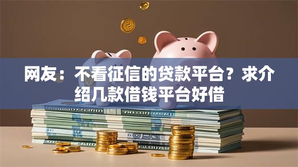 网友：不看征信的贷款平台？求介绍几款借钱平台好借