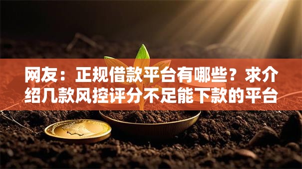 网友:正规借款平台有哪些?求介绍几款风控评分不足能下款的平台 网友:正规借款平台有哪些?求介绍几款风控评分不足能下款的平台