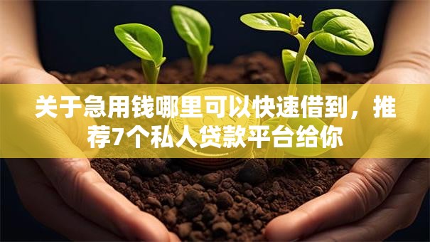 关于急用钱哪里可以快速借到，推荐7个私人贷款平台给你