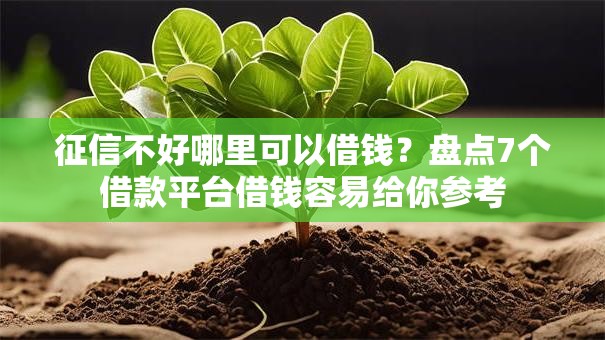征信不好哪里可以借钱？盘点7个借款平台借钱容易给你参考