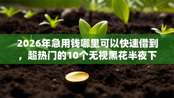 2026年急用钱哪里可以快速借到，超热门的10个无视黑花半夜下款的网贷软件推荐