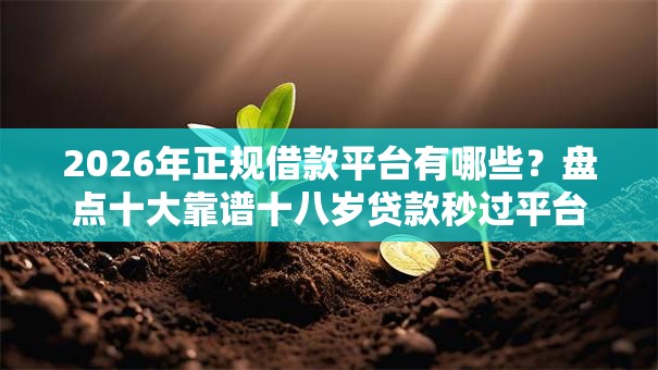 2026年正规借款平台有哪些?盘点十大靠谱十八岁贷款秒过平台 2026年正规借款平台有哪些?盘点十大靠谱十八岁贷款秒过平台
