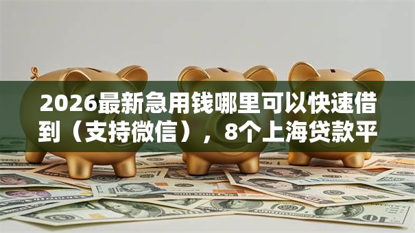 2026最新急用钱哪里可以快速借到（支持微信），8个上海贷款平台无私分享