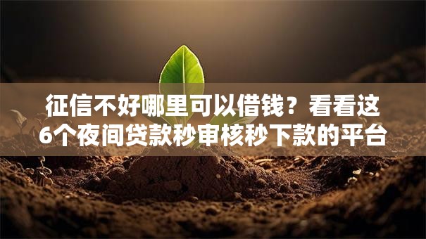 征信不好哪里可以借钱？看看这6个夜间贷款秒审核秒下款的平台怎么样