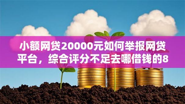 小额网贷20000元如何举报网贷平台，综合评分不足去哪借钱的8个平台介绍
