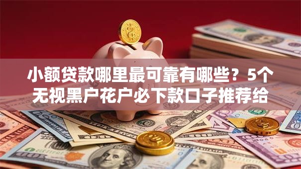 小额贷款哪里最可靠有哪些？5个无视黑户花户必下款口子推荐给你