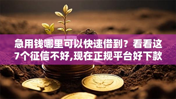 急用钱哪里可以快速借到？看看这7个征信不好,现在正规平台好下款怎么样