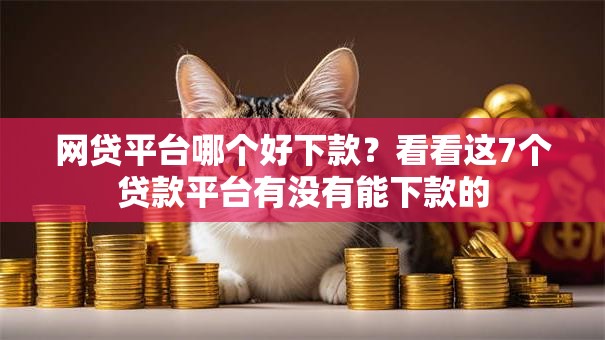 网贷平台哪个好下款？看看这7个贷款平台有没有能下款的