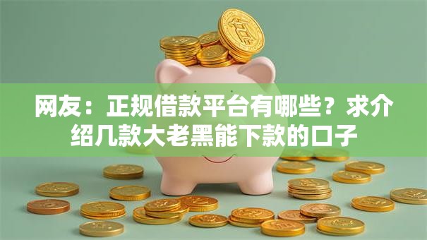 网友：正规借款平台有哪些？求介绍几款大老黑能下款的口子