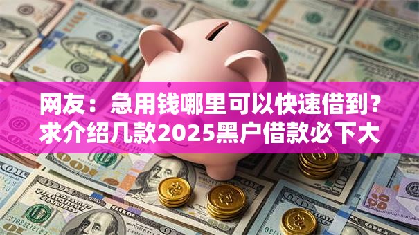 网友:急用钱哪里可以快速借到?求介绍几款2025黑户借款必下大额口子 网友:急用钱哪里可以快速借到?求介绍几款2025黑户借款必下大额口子
