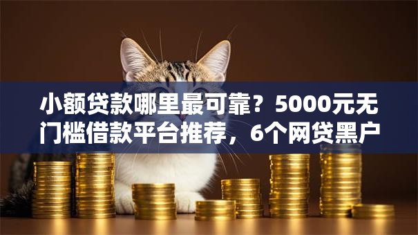 小额贷款哪里最可靠？5000元无门槛借款平台推荐，6个网贷黑户必过口子盘点
