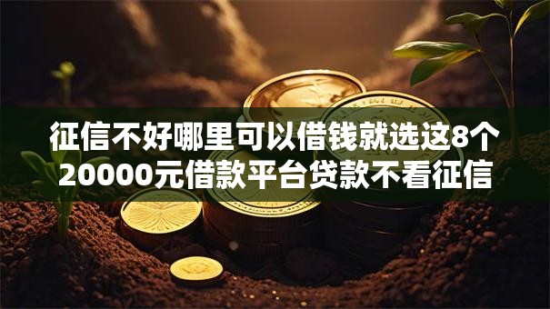征信不好哪里可以借钱就选这8个20000元借款平台贷款不看征信 征信不好哪里可以借钱就选这8个20000元借款平台贷款不看征信