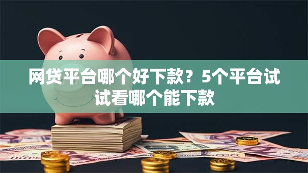 网贷平台哪个好下款？5个平台试试看哪个能下款