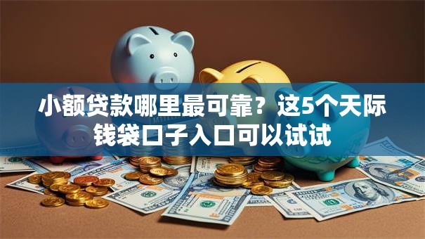 小额贷款哪里最可靠？这5个天际钱袋口子入口可以试试