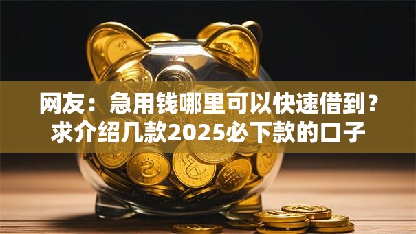 网友：急用钱哪里可以快速借到？求介绍几款2025必下款的口子