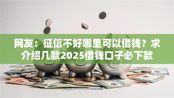 网友：征信不好哪里可以借钱？求介绍几款2025借钱口子必下款
